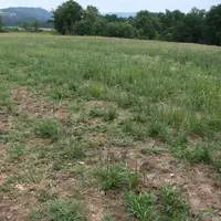 Des dégâts très lourds.