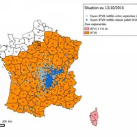 Le nombre total de foyers depuis septembre 2015 est de 560 dont 276 détectés depuis juillet 2016. Cette semaine 82 foyers ont été notifiés, qui n'entr