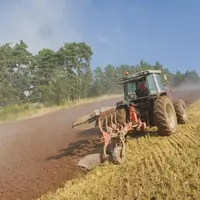 Un rendement moyen satisfaisant au vu des estimations pessimistes de juillet.