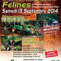 Affiche Festi'Forêt 2ème édition