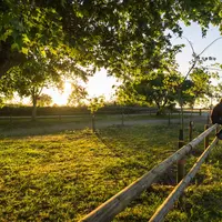 Mal-être, agriculteur en difficulté, suicide.