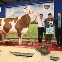 Nikita, du Gaec du Pivert est grande championne Montbéliarde.