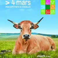 «Haute» la belle Aubrac égérie de ce Salon.