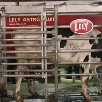 Robot de traite Lely