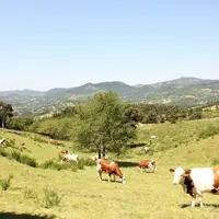 Le Statut du fermage est une sécurité, une garantie pour l’entretien du foncier agricole.