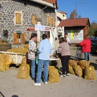 La foire à la patate, un rendez-vous important pour les fanas de ce tubercule !