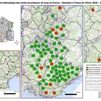 Cette carte des ZPP 2019 confirme que la présence de la population et la reproduction se concentrent dans l’arc alpin et en Provence.