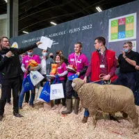 Adrien Chambon, ici au centre, a été sacré meilleur jeune berger  de France.