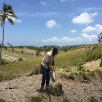 Les familles paysannes  de Haïti vivent dans  une précarité extrême.