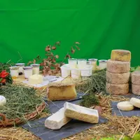 Le fromage au lait cru, un des fleurons de notre gastronomie locale voire française, mis à mal.