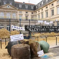 Une Préfecture littéralement empaillée en moins de deux...