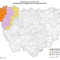 Zonage pertes de fourrages au titre de la sécheresse 2019