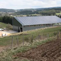 Panneaux photovoltaïques sur un bâtiment d'élevage