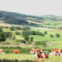 Valoriser les productions, augmenter les prix de vente, faire baisser les charges… autant de critères sur lesquels FDSEA et JA entendent se battre enc