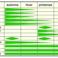 Périodes de levées préférentielles des adventices