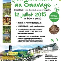 Affiche "un dimanche sauvage"