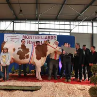 Juvamine du Gaec de l'Érosion au Monastier sur Gazeille remporte le grand chelem avec le Titre de Miss 2017, le challenge précocité et le prix de Meil
