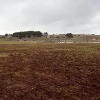 Non, ce n’est pas une terre, c’est bien une prairie.