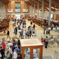 Ce comice était organisé par les JA de Saugues en collaboration avec la Chambre d’Agriculture, Haute-Loire Conseil Elevage, les syndicats de race, Cod