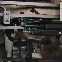 Bras du robot de traite Mi One by GEA Farm Technologies