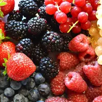 Le 1er avril, la filière Fruits rouges des Monts du Velay a dressé le bilan de la campagne 2016 avant de 
célébrer les 20 ans du GIE 
à Queyrières.