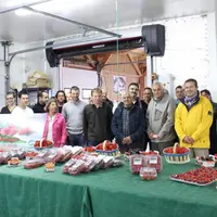 Producteurs et pâtissiers fiers de ces fruits rouges des Monts du Velay.