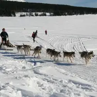 Respirando, une journée pour découvrir les sports d’hiver tout en dégustant les produits locaux du Mézenc.