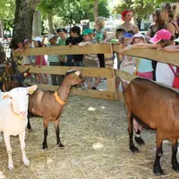 La ferme s'invite en ville !