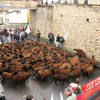 Les éleveurs demandent à exercer tranquillement leur métier, sans la prédation du loup.