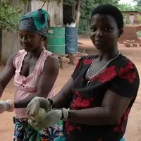 Au Bénin, c’est à la force des bras, que les agricultrices acquièrent leur liberté.
