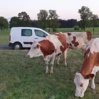 Lucien Mounier a repris la ferme familiale récemment convertie en agriculture biologique.