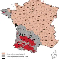 La situation début janvier 2009.