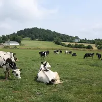 Les systèmes d’élevage herbagers sont de sacrés atouts pour les territoires.