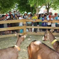 La ferme s’invite en ville, une belle opération de communication envers les citadins.