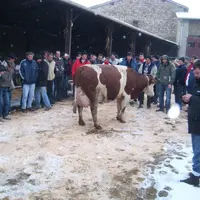 En visite dans la Loire pour l’assemblée générale du syndicat.
