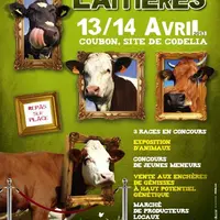 Affiche Journées laitières