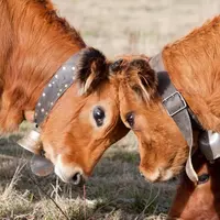 Dans l’intérêt de tous et de chacun, il convient de ne pas négliger les relations entre associés.