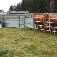 Pour manipuler vos bovins au pré en sécurité, optez pour la contention mobile.