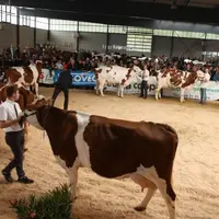 La journée laitière du 28 avril a offert un beau spectacle aux nombreux visiteurs.