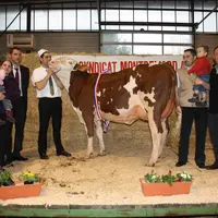 Istamoise, sous le feu des projecteurs durant tout le concours, a remporté le titre de Miss Montbéliarde mais aussi le challenge précocité et la meill