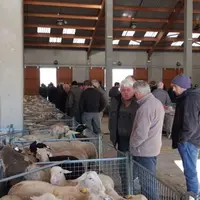 Dans quelques mois, le marché de Saugues se changera en marché au cadran ultra-moderne.