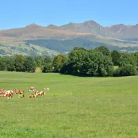 Les zones de montagne se distinguent des zones rurales par l'altitude.