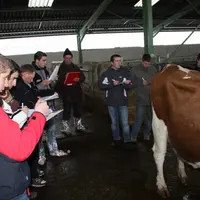 Attention et concentration sont de rigueur.