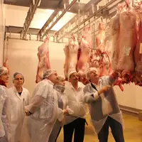 Lors de la visite de l'abattoir.