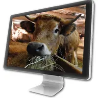 En quelques clics, notez vos boeufs ou génisses Fin Gras préférés sur le site https://bit.ly/concours-bovins-aop-fin-gras