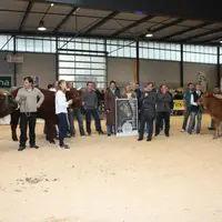 La marque “Le Boeuf de Haute-Loire” a été inaugurée le dimanche matin en présence de professionnels et élus.