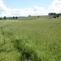 Il y a du mieux mais prudence!