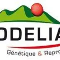 Codélia logo