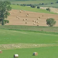 Le schéma directeur régional des exploitations agricoles (SDREA) complète la réglementation nationale.