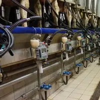 Le lactocorder est un appareil de mesure que l'on installe du début à la fin de la traite.